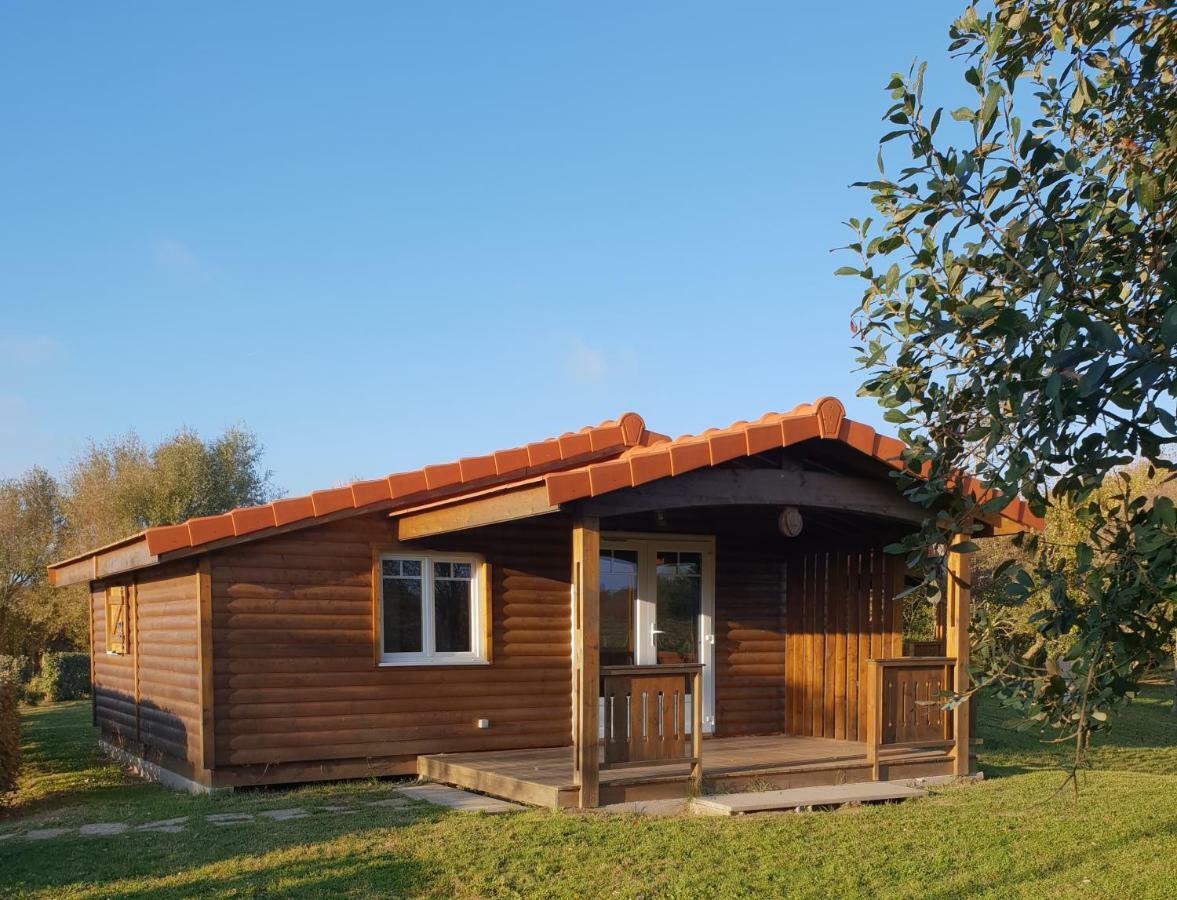 Hotellerie De Plein Air Belle Dune Berck Екстериор снимка